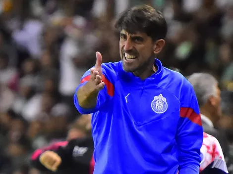 ¡Lo que deben pagar por el Oso!