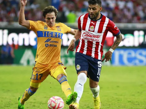 ¿Qué dicen las casas de apuestas?