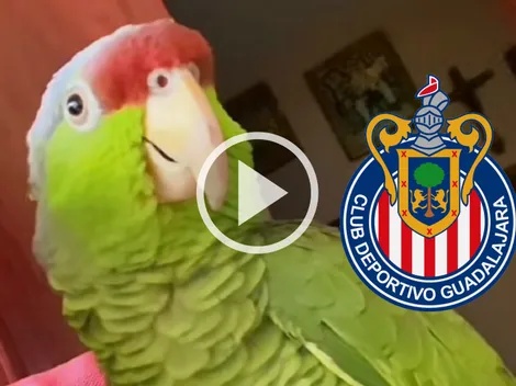 Video: Se hizo viral al alentar a Chivas