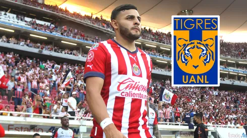 Tigres confirmó interés en Alexis Vega.