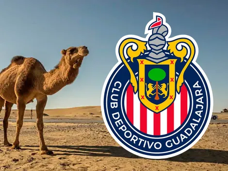 Ex-Chivas es buscado en Medio Oriente