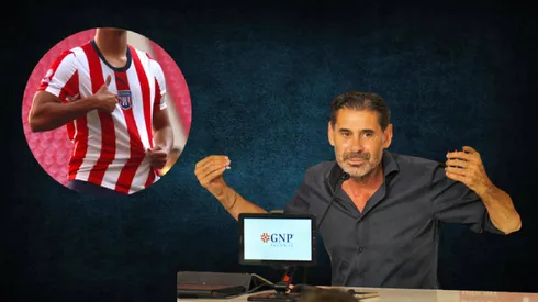 Se anunció un nuevo refuerzo