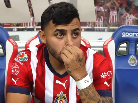 Tigres va con todo por Alexis Vega