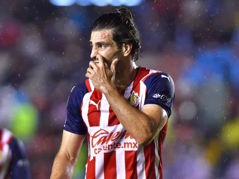 Se confirma lo que todos pensaban del Pollo Briseño