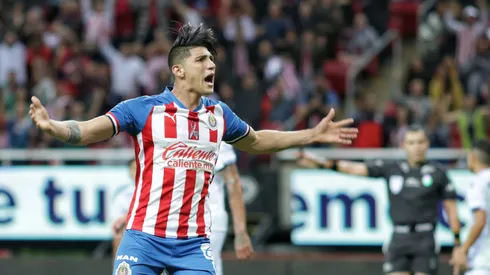 Alan Pulido es opción para reforzar a Chivas.