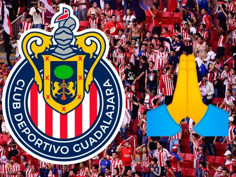 ¡El sueño de los chivahermanos!