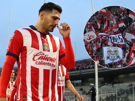 Duras críticas al Pollo Briseño