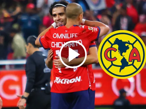 Chicharito debe ser titular: La exigencia de Sergio Dipp