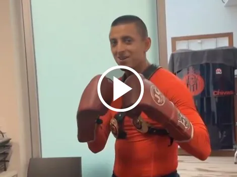 Piojo Alvarado pone a temblar al Canelo Álvarez con este video