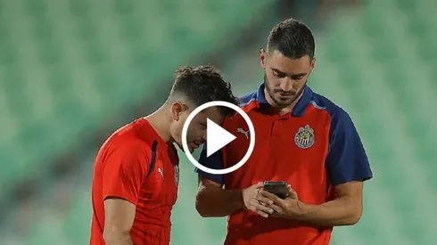 Pollo y Mozo son inseparables.