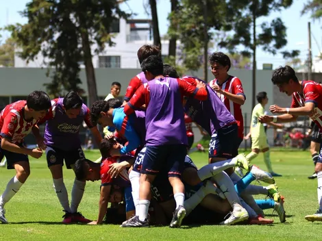 ¡Jarabe tapatío en fuerzas básicas! 