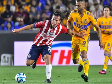 Las cifras que exaltan al Oso como figura