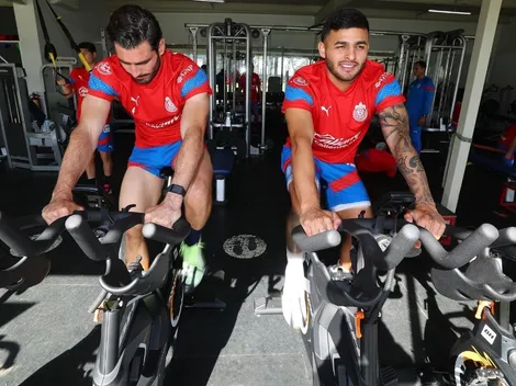 ¿Cuándo vuelven Vega, Pollo y Cone?