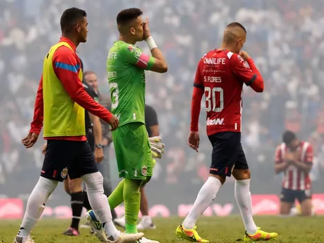 ◉ Noticias de Chivas hoy 29 de noviembre