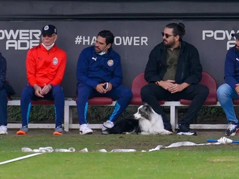 ¿Quiénes integran el consejo deportivo de Chivas?