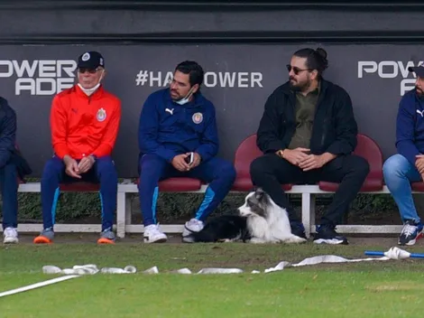 ¿Quién es Alejandro Manzo?