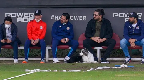 ¿Quién es Alejandro Manzo?