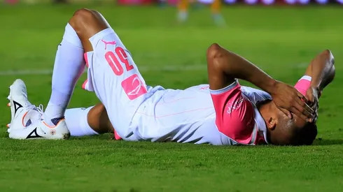 Chivas tiene probabilidades de ser campeón