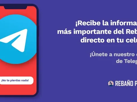¡Únete al canal de Telegram de Rebaño Pasión!