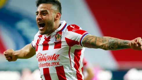 Vega llegó al Rebaño Sagrado en diciembre del 2018.