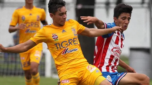 Paso fructífero de la Cantera Rojiblanca en Monterrey