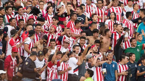 Hay buenas noticias para los chivahermanos