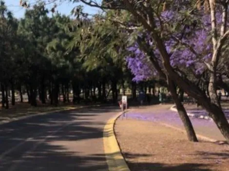 El mensaje que revela acercamiento con "perfil europeo" que busca Chivas