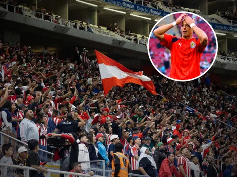 Chivahermanos eligen el mejor regalo de cumpleaños