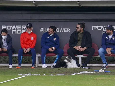 Los encargados de elegir al nuevo DT de Chivas