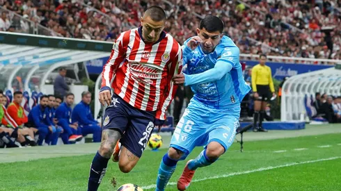 La Cotorra será anunciado en breve con el Rebaño.