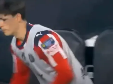 ¿Qué le pasó a la Hormiga González?