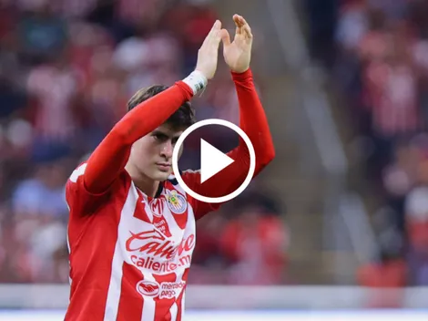 La cálida despedida a la Hormiga con Dragon Ball