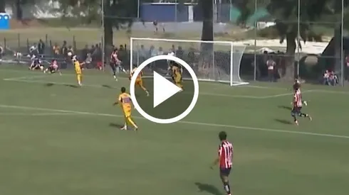 Ariel Castro anotó golazo ante Tigres.