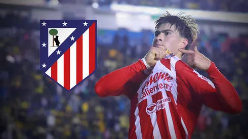 Piden a la Hormiga como refuerzo para el Atlético de Madrid