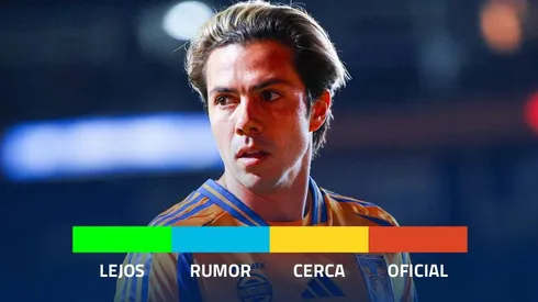 Chivas busca varios fichajes para el Clausura 2026.