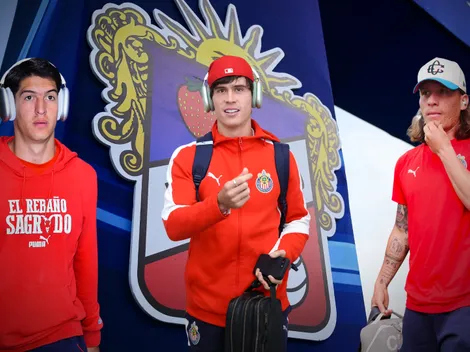 ¿Por que el Oso, Hormiga, Campillo y Castillo no jugarán?