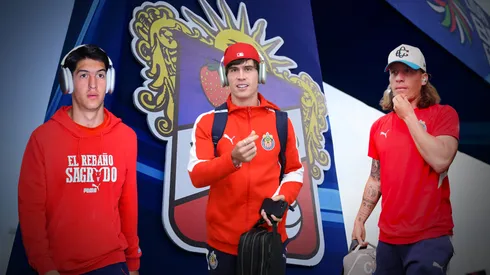 ¿Por que el Oso, Hormiga, Campillo y Castillo no jugarán?