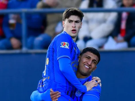 ¿Se enojó por salir de cambio? La foto de la Hormiga que aclara todo