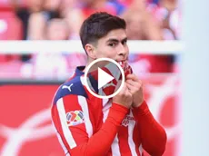 La terrible equivocación de la Hormiga contra el León