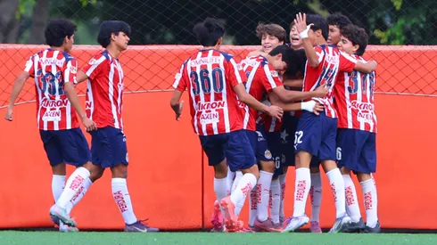 Así van las Fuerzas Básicas de Chivas en el Clausura 2026.