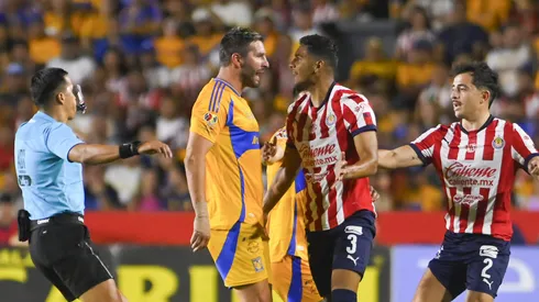 Los expertos ven probable un triunfo felino.