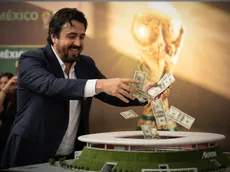La millonaria cifra que invirtió Amaury Vergara en el Estadio Akron