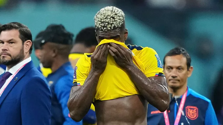 "Titular de la selección de Ecuador en eliminatorias y en la pasada Copa del Mundo".