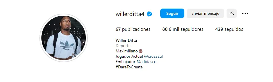 Perfil de Ditta