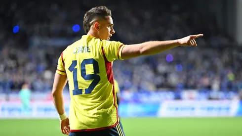 La alternativa tiene sustento con base en las características del atacante colombiano.