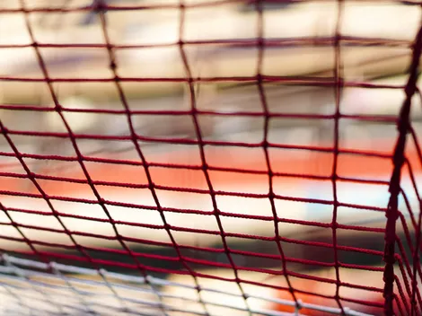 Las NOTICIAS de este domingo 25 de febrero