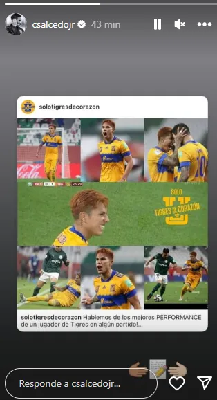 Publicación de Salcedo en sus historias de Instagram