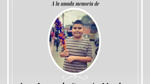 ¿Cuáles fueron las causas del fallecimiento de José Armando?