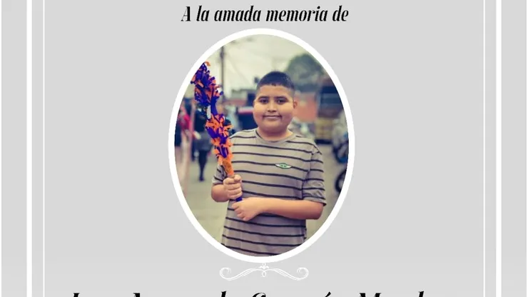 ¿Cuáles fueron las causas del fallecimiento de José Armando?