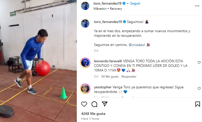 Publicación del Toro Fernández en Instagram